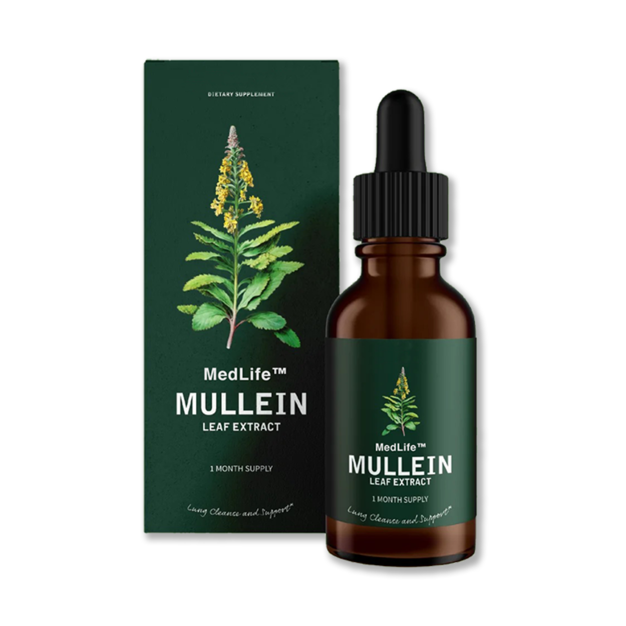 Mullein Extract